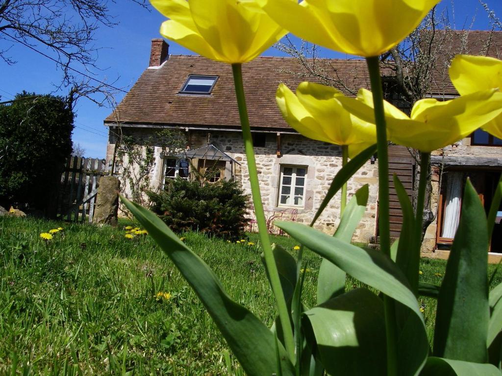 Bed and Breakfast Le Trot'In Chair Martigny-le-Comte Екстер'єр фото