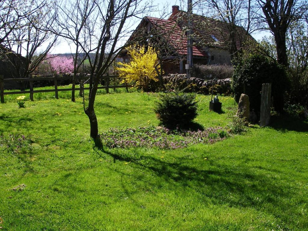 Bed and Breakfast Le Trot'In Chair Martigny-le-Comte Екстер'єр фото